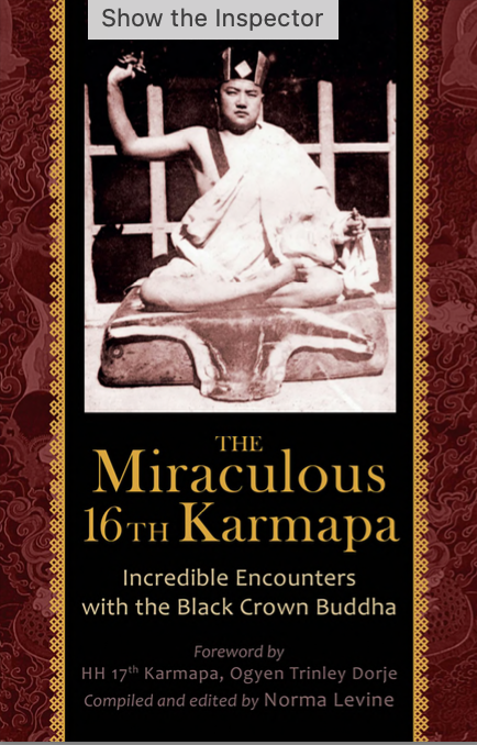 (image for) 16th Karmapa Incredible Encounters with Black Crown Buddha by Levine